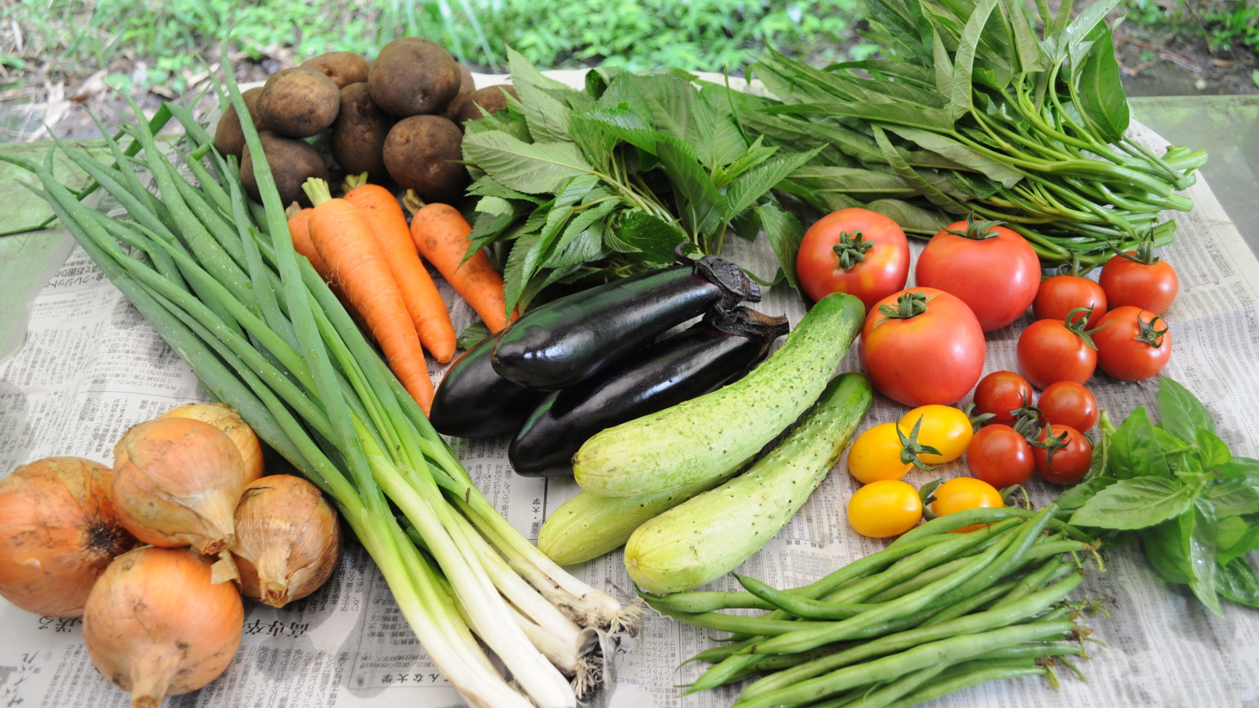 有機・無農薬夏野菜のセット例