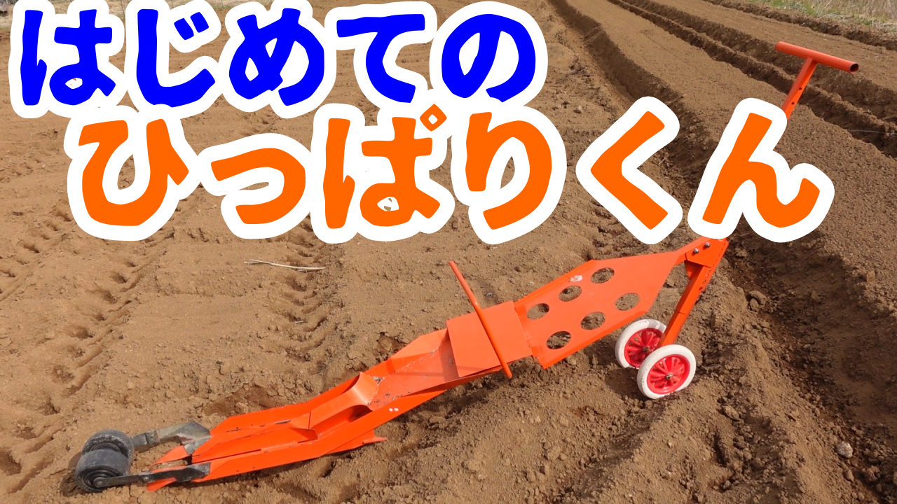 その名に似つかわしく無い ふぁんきー農園 三重県津市で有機 無農薬野菜の栽培と宅配 発送